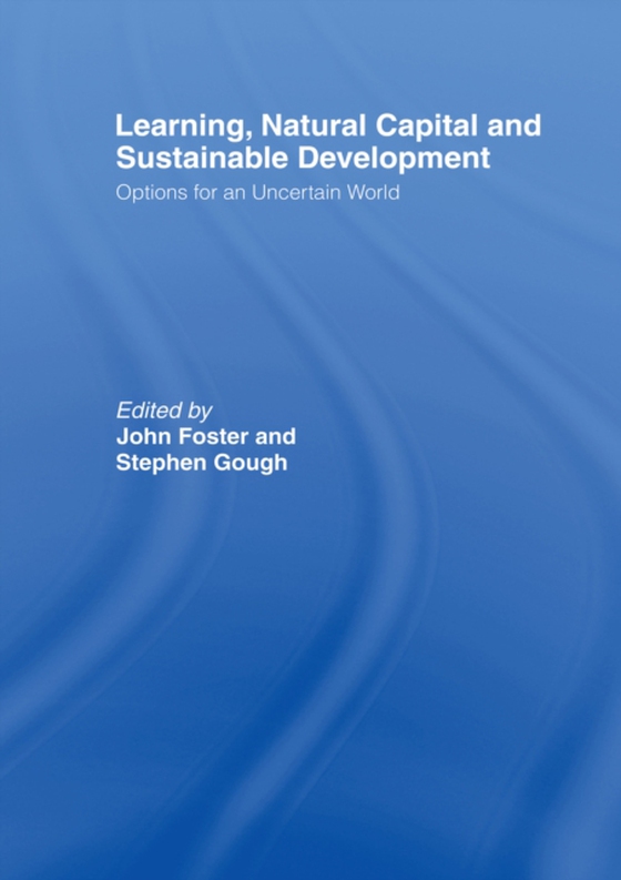 Learning, Natural Capital and Sustainable Development (e-bog) af -