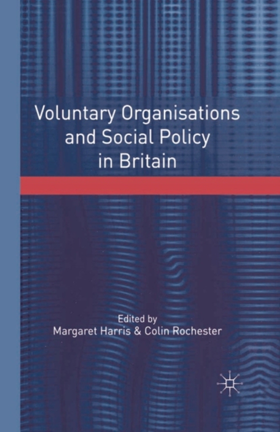 Voluntary Organisations and Social Policy in Britain (e-bog) af Colin Rochester, Rochester