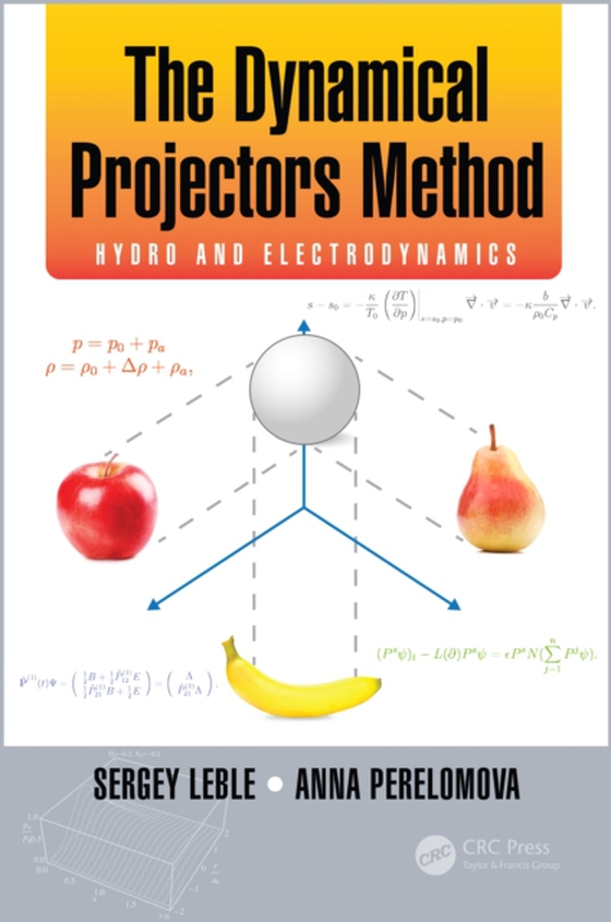 Dynamical Projectors Method (e-bog) af Perelomova, Anna