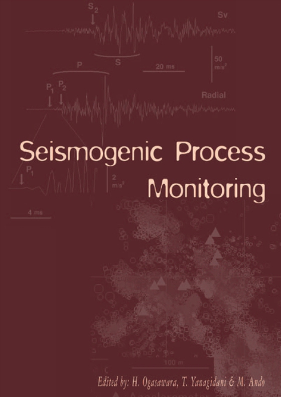 Seismogenic Process Monitoring (e-bog) af -