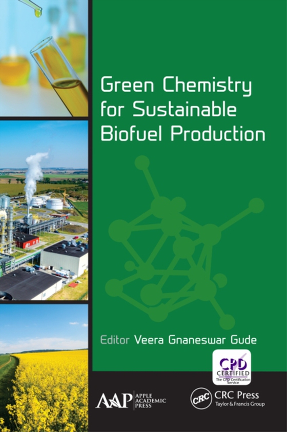 Green Chemistry for Sustainable Biofuel Production (e-bog) af -