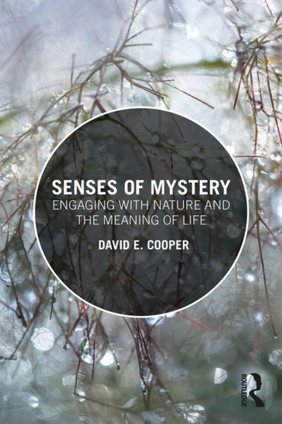 Senses of Mystery (e-bog) af Cooper, David E.