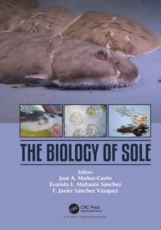 Biology of Sole (e-bog) af -