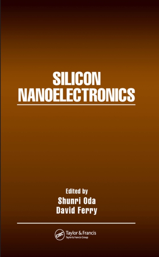 Silicon Nanoelectronics (e-bog) af -