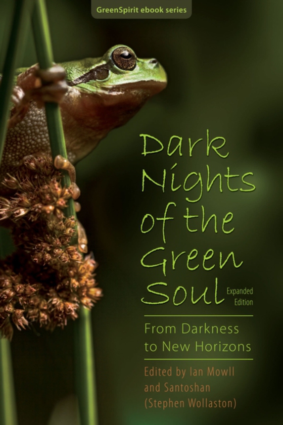 Dark Nights of the Green Soul: From Darkness to New Horizons (expanded edition) (e-bog) af -