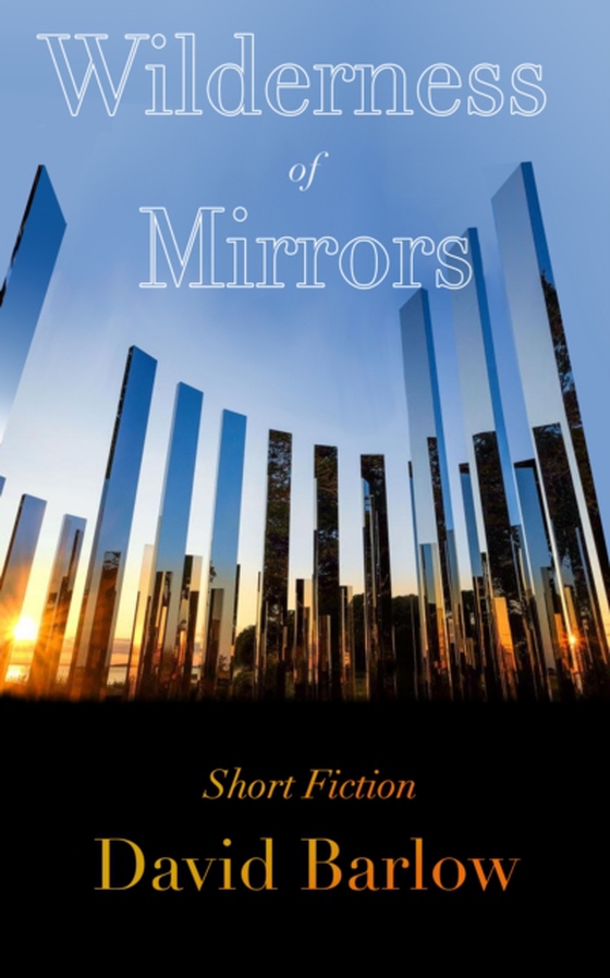 Wilderness of Mirrors (e-bog) af Barlow, David