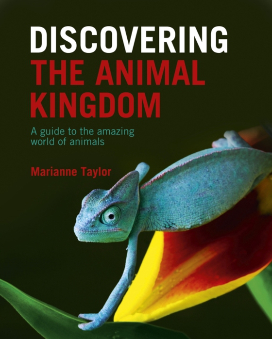 Discovering The Animal Kingdom (e-bog) af Marianne Taylor