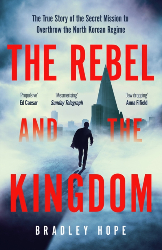 Rebel and the Kingdom (e-bog) af Hope, Bradley