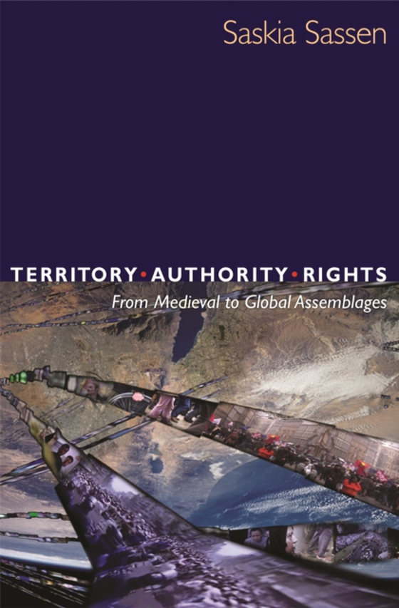 Territory, Authority, Rights (e-bog) af Sassen, Saskia