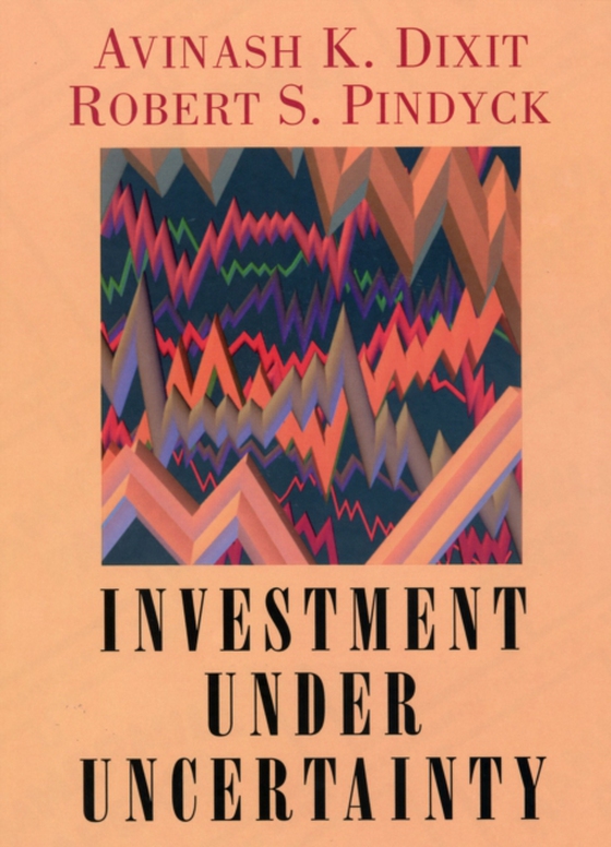Investment under Uncertainty (e-bog) af Pindyck, Robert S.