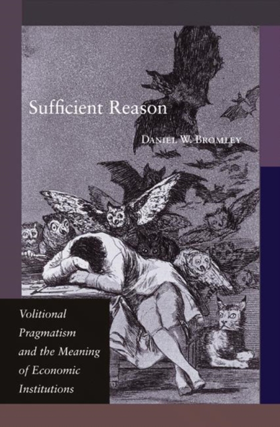 Sufficient Reason (e-bog) af Bromley, Daniel W.