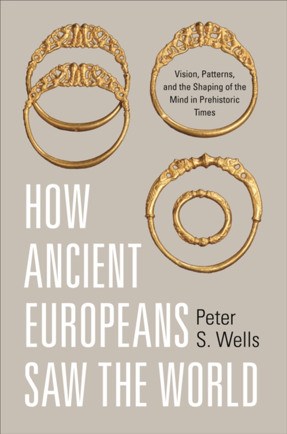 How Ancient Europeans Saw the World (e-bog) af Wells, Peter S.