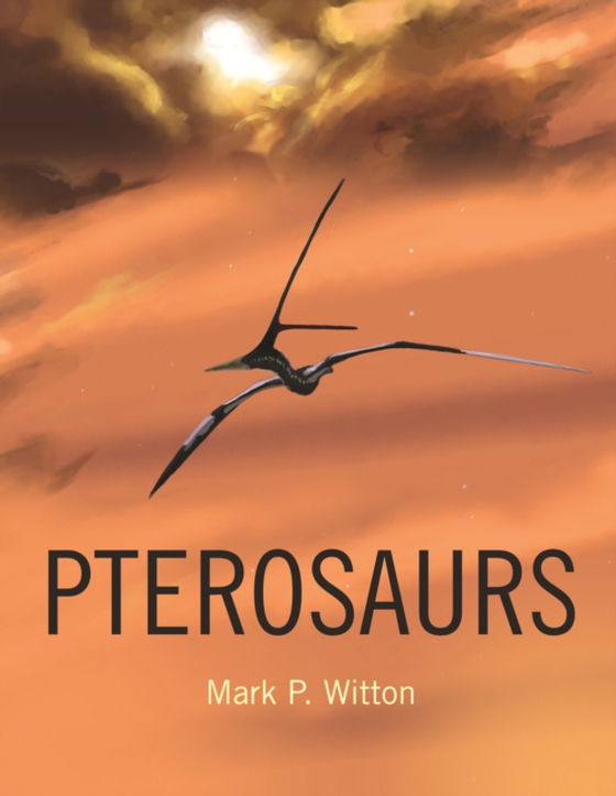 Pterosaurs