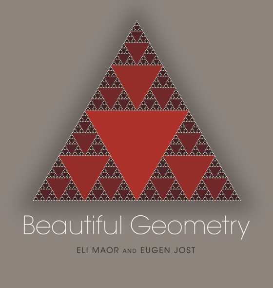 Beautiful Geometry (e-bog) af Jost, Eugen