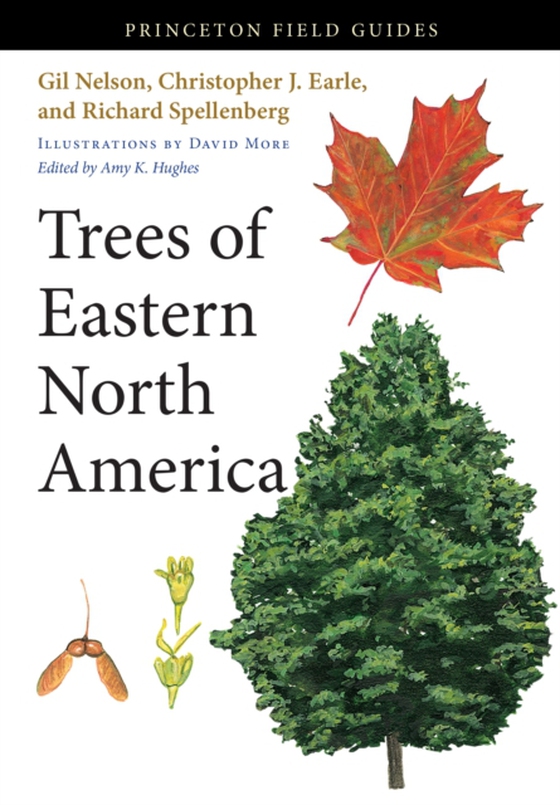 Trees of Eastern North America (e-bog) af Spellenberg, Richard