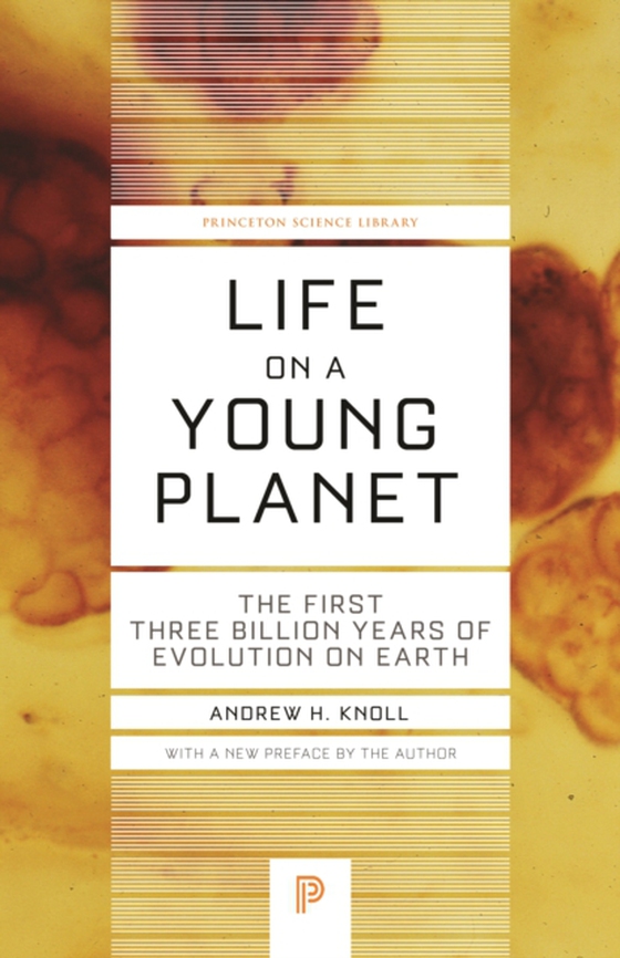 Life on a Young Planet (e-bog) af Knoll, Andrew H.