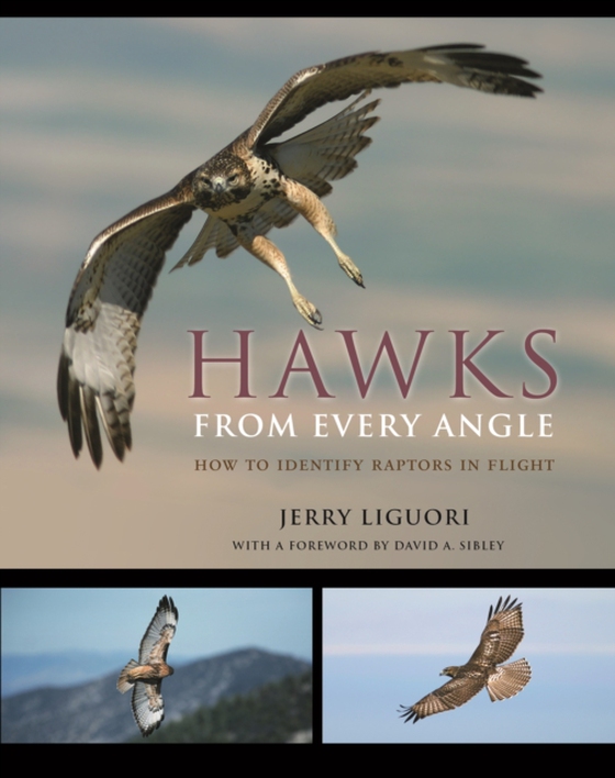 Hawks from Every Angle (e-bog) af Liguori, Jerry