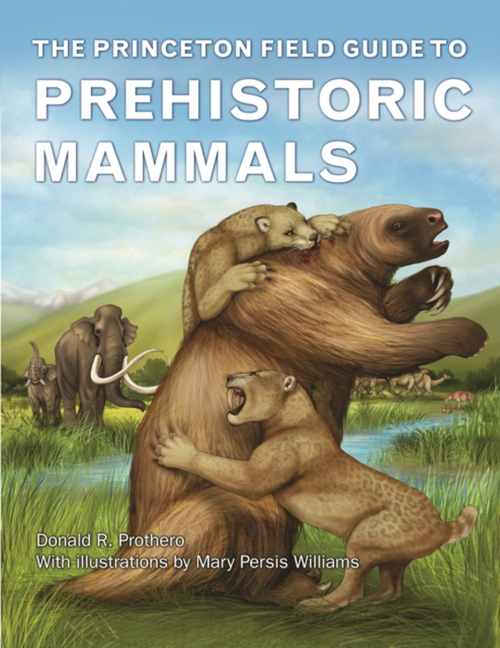 Princeton Field Guide to Prehistoric Mammals (e-bog) af Prothero, Donald R.