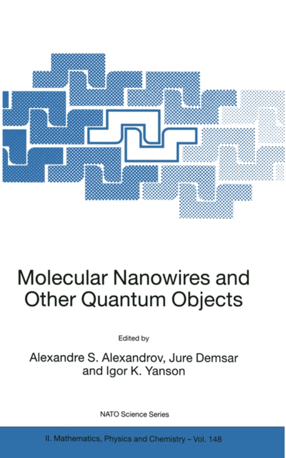 Molecular Nanowires and Other Quantum Objects (e-bog) af -