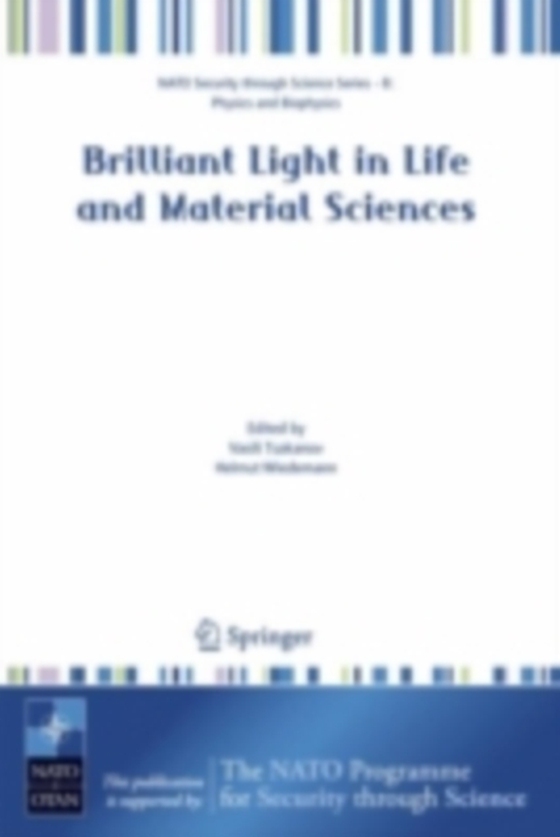 Brilliant Light in Life and Material Sciences (e-bog) af -