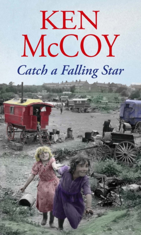 Catch A Falling Star (e-bog) af McCoy, Ken