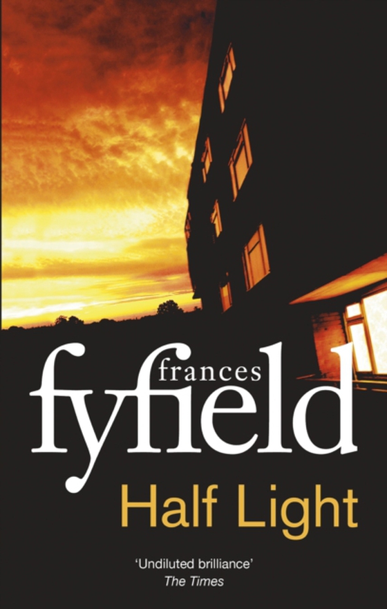 Half Light (e-bog) af Fyfield, Frances