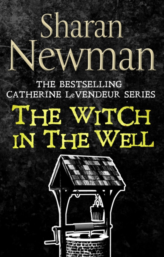 Witch in the Well (e-bog) af Newman, Sharan