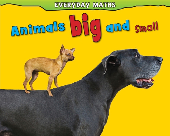 Animals Big and Small (e-bog) af Nunn, Daniel