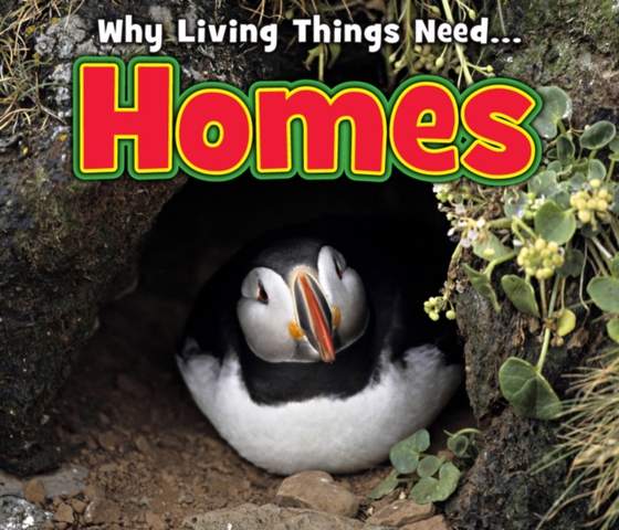 Homes (e-bog) af Nunn, Daniel