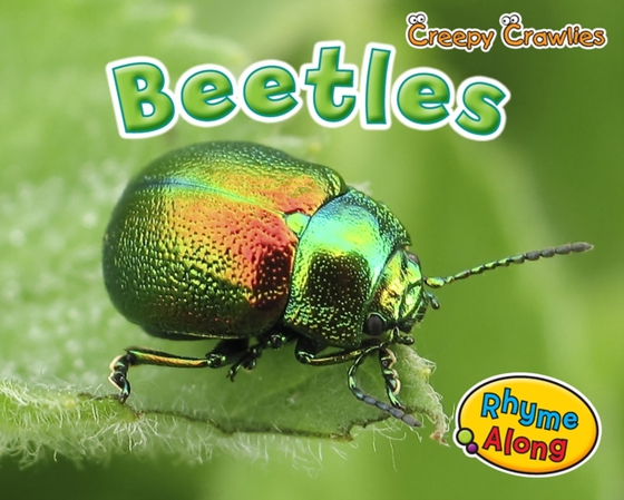 Beetles