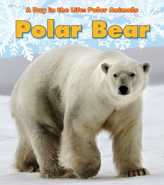 Polar Bear (e-bog) af Marsico, Katie