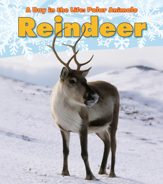 Reindeer (e-bog) af Marsico, Katie