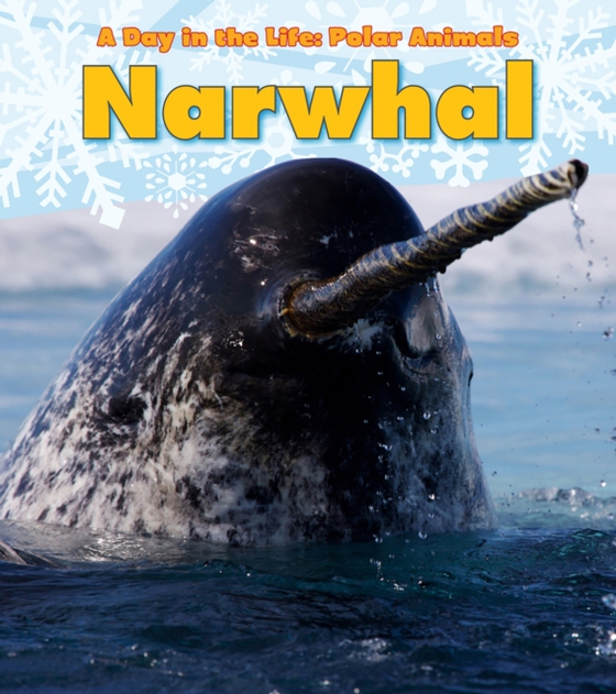 Narwhal (e-bog) af Marsico, Katie