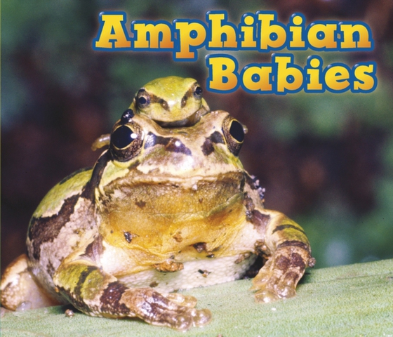 Amphibian Babies (e-bog) af Veitch, Catherine