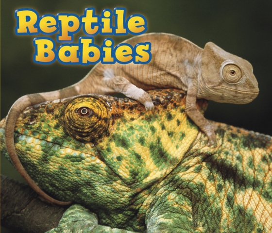 Reptile Babies (e-bog) af Veitch, Catherine