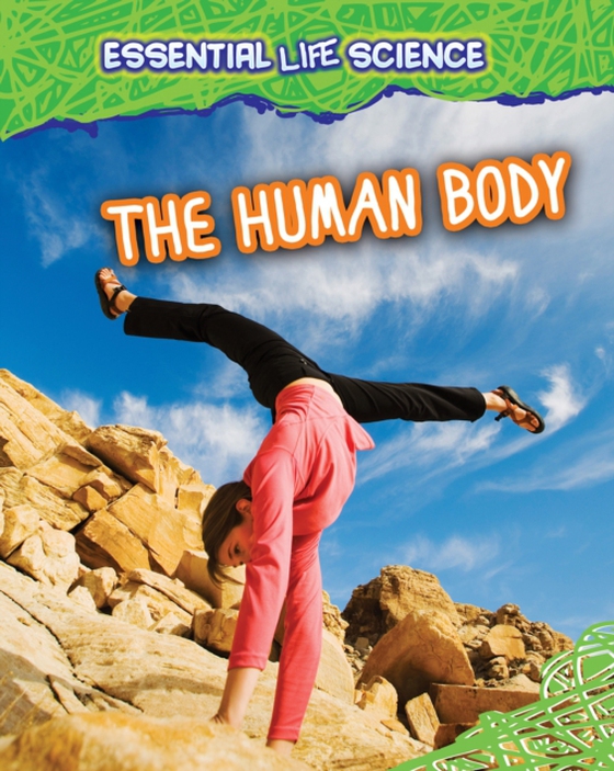 Human Body