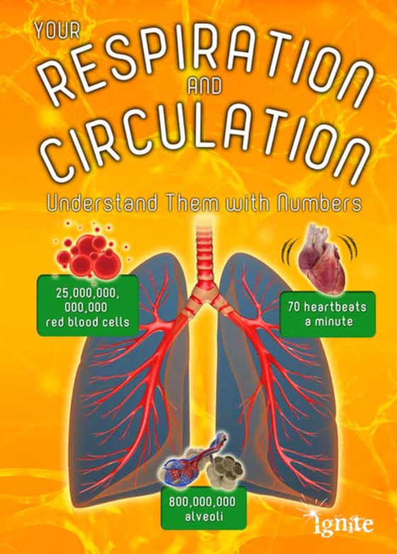 Your Respiration and Circulation (e-bog) af Waldron, Melanie