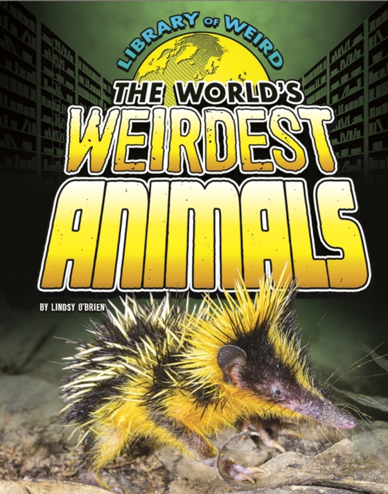 World's Weirdest Animals (e-bog) af O'Brien, Lindsy