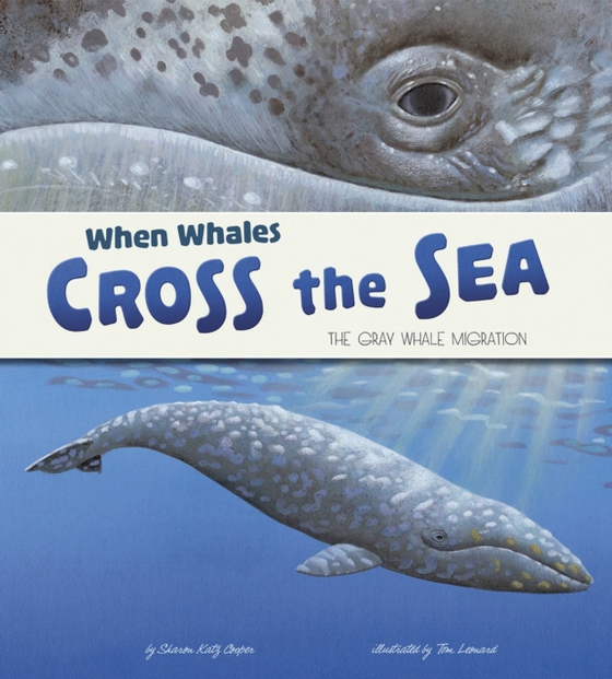 When Whales Cross the Sea (e-bog) af Cooper, Sharon Katz