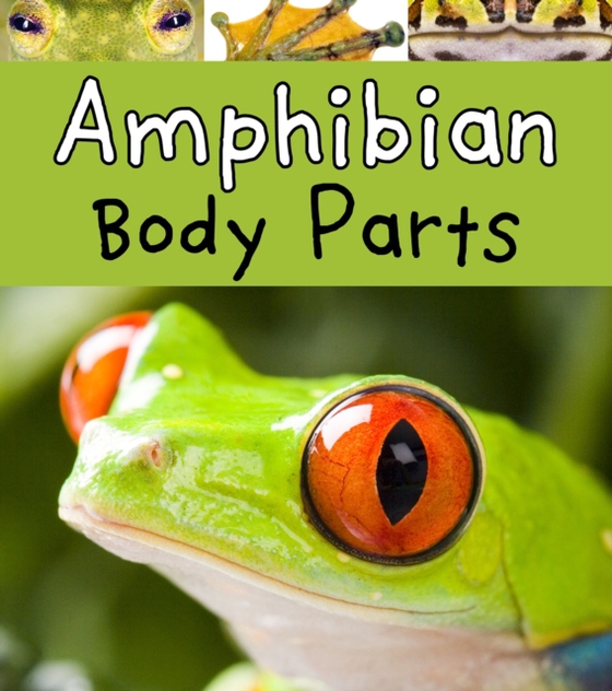 Amphibian Body Parts (e-bog) af Lewis, Clare