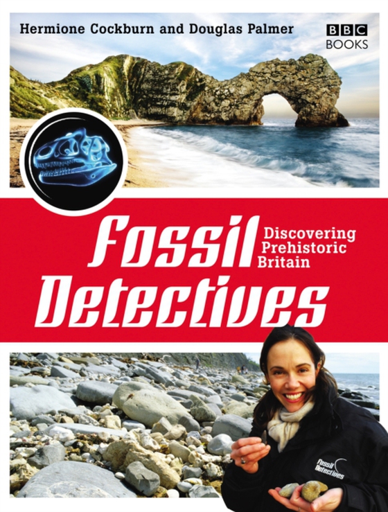 Fossil Detectives