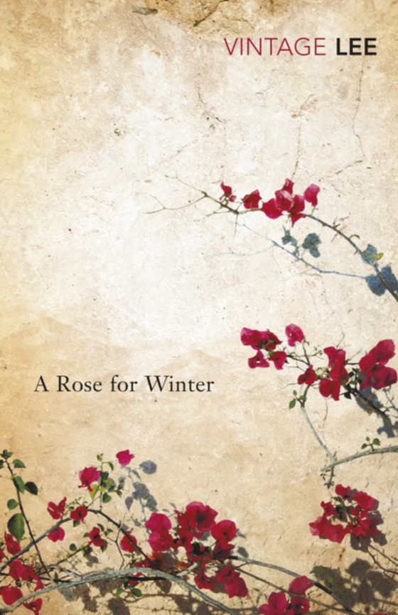 Rose For Winter