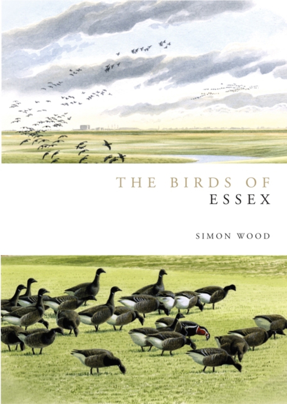 Birds of Essex (e-bog) af Simon Wood, Wood