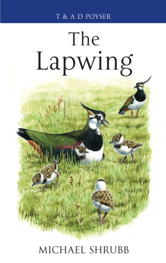 Lapwing (e-bog) af Michael Shrubb, Shrubb