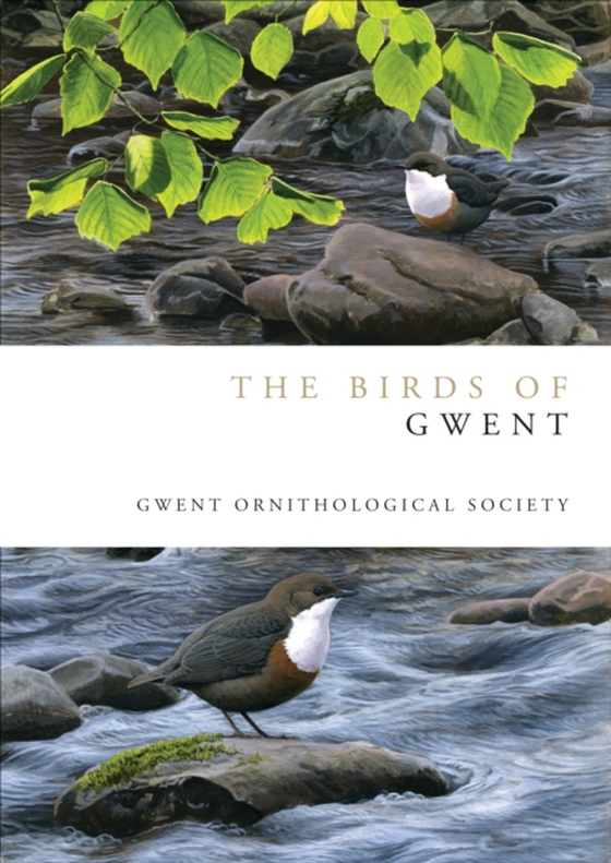 Birds of Gwent (e-bog) af Gwent Ornithological society, Gwent Ornithological society