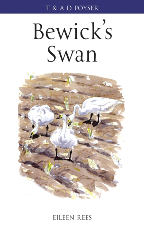 Bewick's Swan (e-bog) af Eileen Rees, Rees