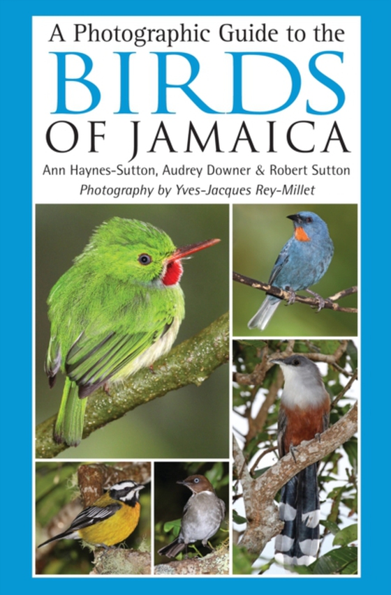 Photographic Guide to the Birds of Jamaica (e-bog) af Robert Sutton, Sutton