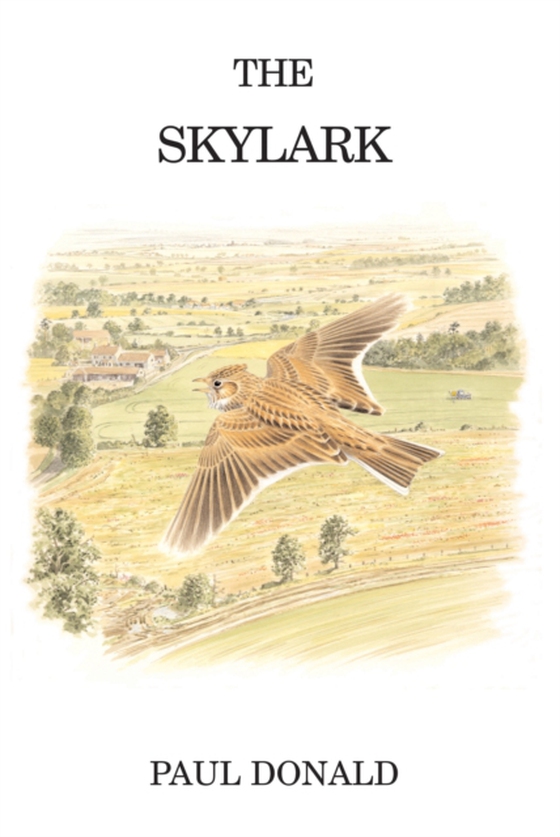 Skylark