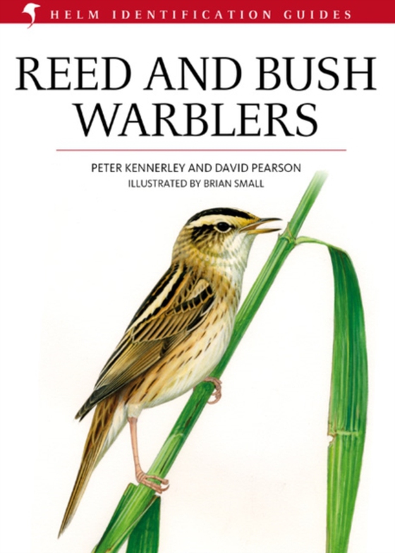 Reed and Bush Warblers (e-bog) af David Pearson, Pearson