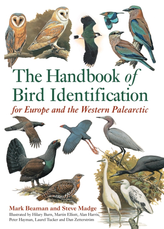 Handbook of Bird Identification